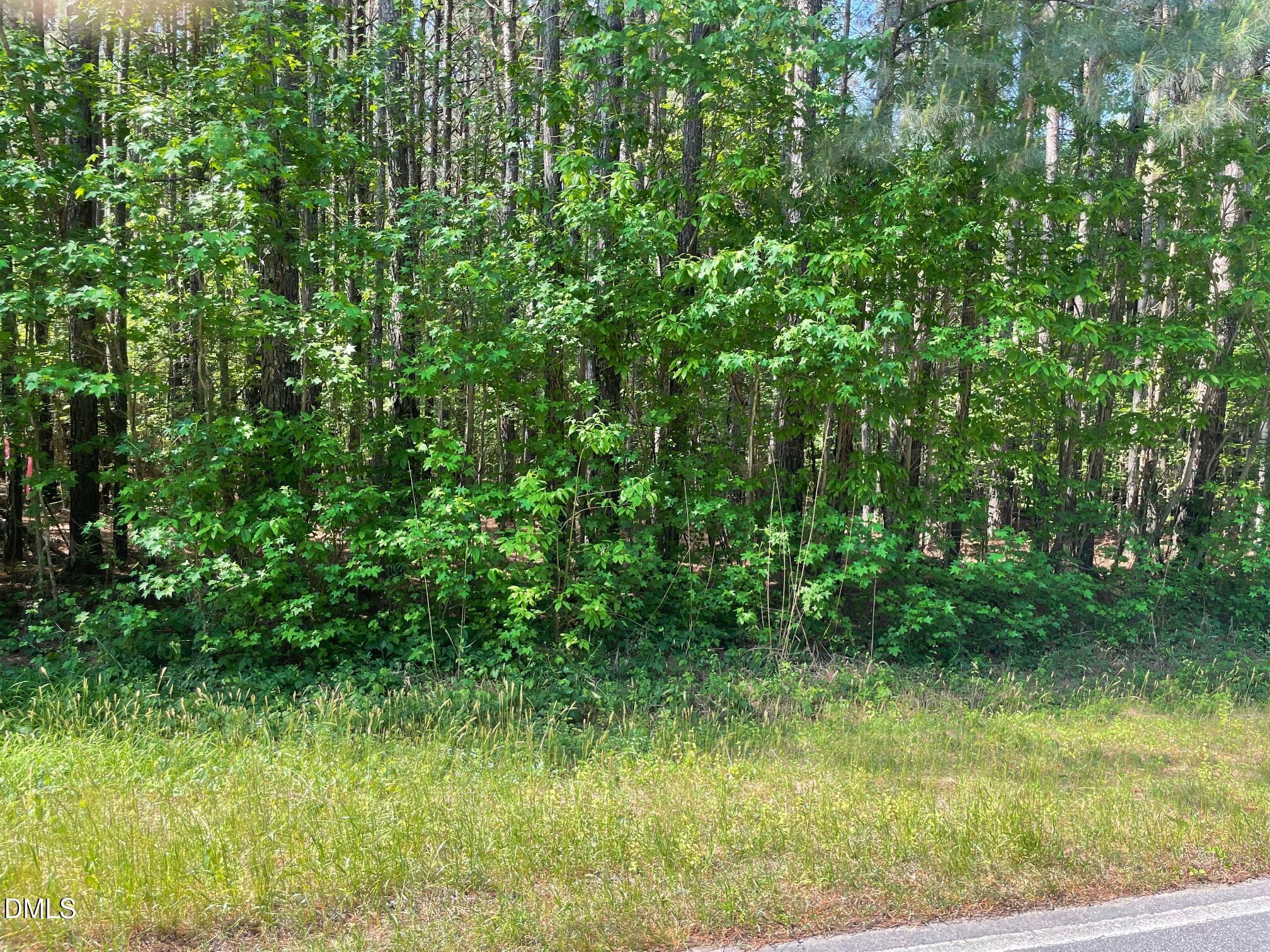 0 Landmark Road North Willow Spring, NC 27592 - Photo 4 of 6 IMG_2862