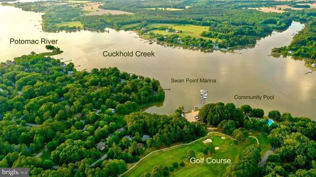 a view of a lake from a yard