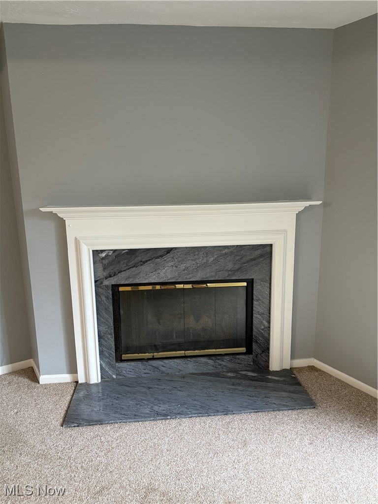 4750 Oak Point Road, Unit 302 Lorain, OH 44053 - Photo 4 of 25 Detailed view of a fireplace.