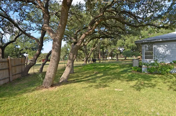 a view of yard with tree