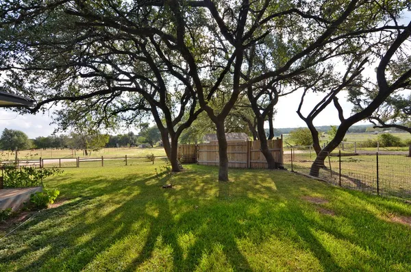 a view of backyard with tree
