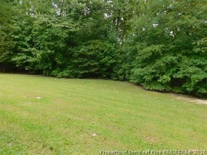 2764 Rivercliff Road Fayetteville, NC 28301 - Photo 25 of 27