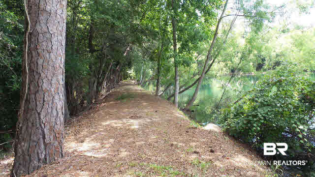 0 West Railroad Street Castleberry, AL 36432 - Photo 14 of 41
