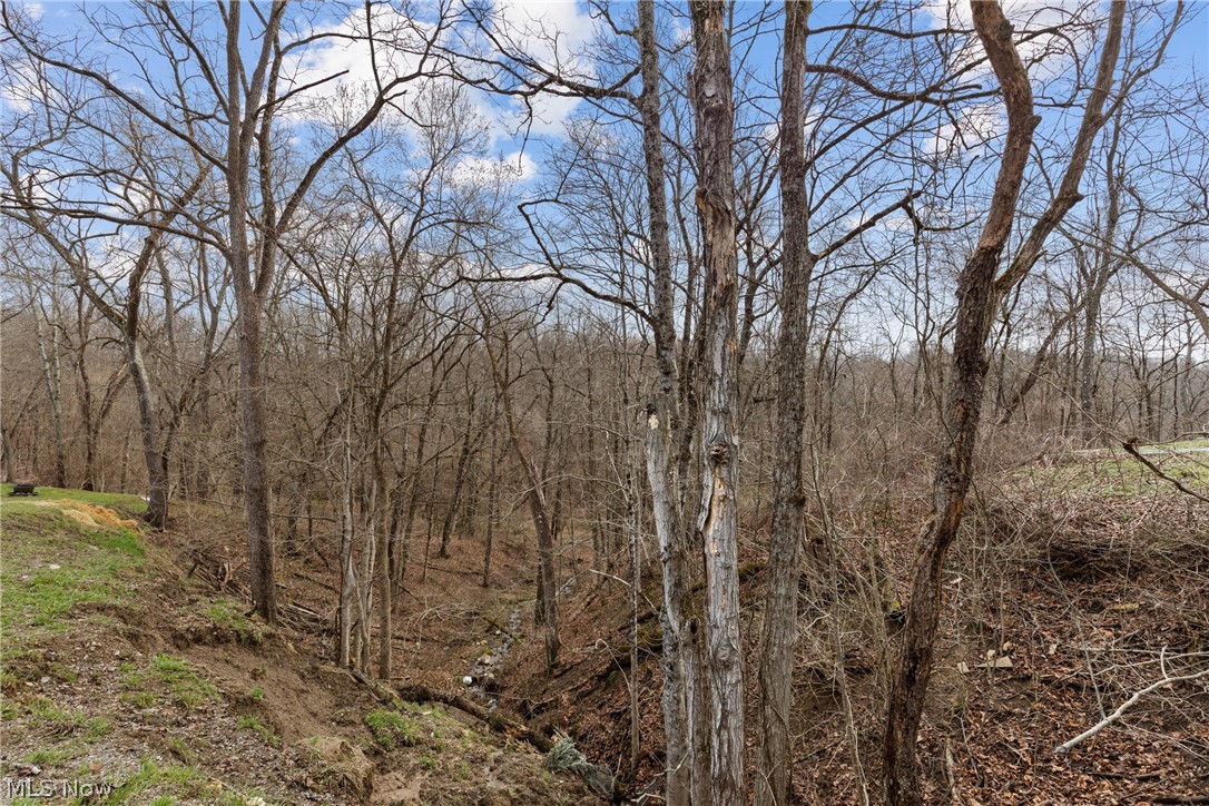 38340 Lees Run Road Cadiz, OH 43907 - Photo 26 of 31 View of wooded area