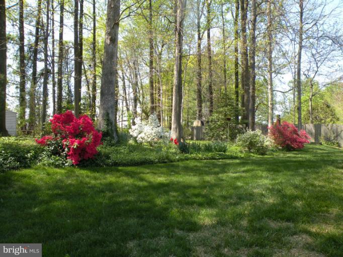 6204 Greeley Boulevard Springfield, VA 22152 - Photo 2 of 16 View