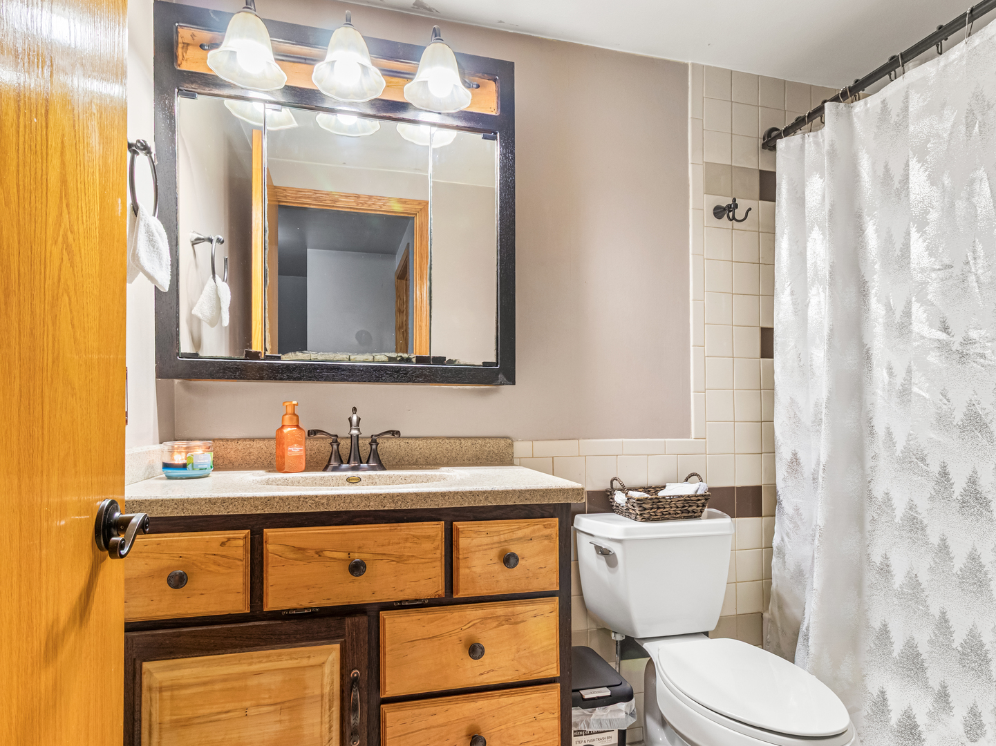 215 Fernwood Road Montgomery, IL 60538 - Photo 8 of 28