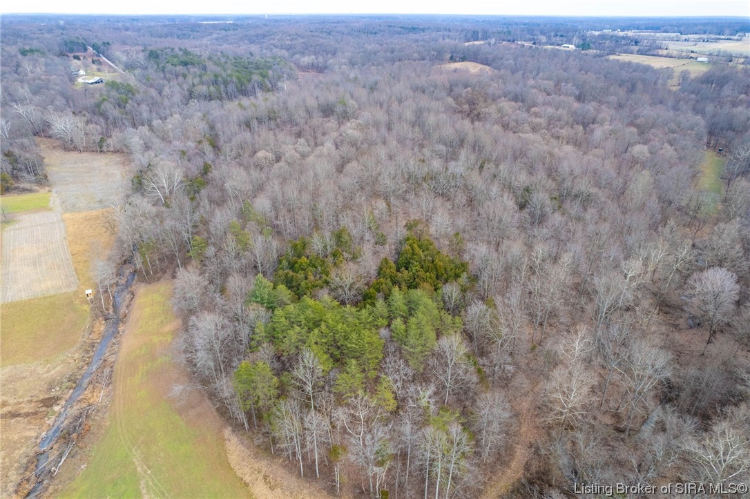1563 South Hardy Mill Road Lexington, IN 47138 - Photo 42 of 47
