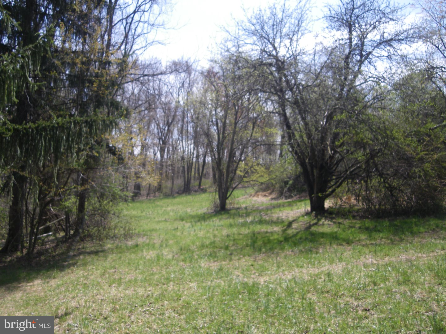 320 Saw Mill Road Pottstown, PA 19465 - Photo 6 of 25