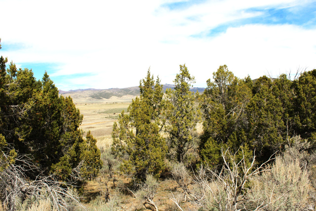 North W, Unit 93 Fairview, UT 84629 - Photo 3 of 23