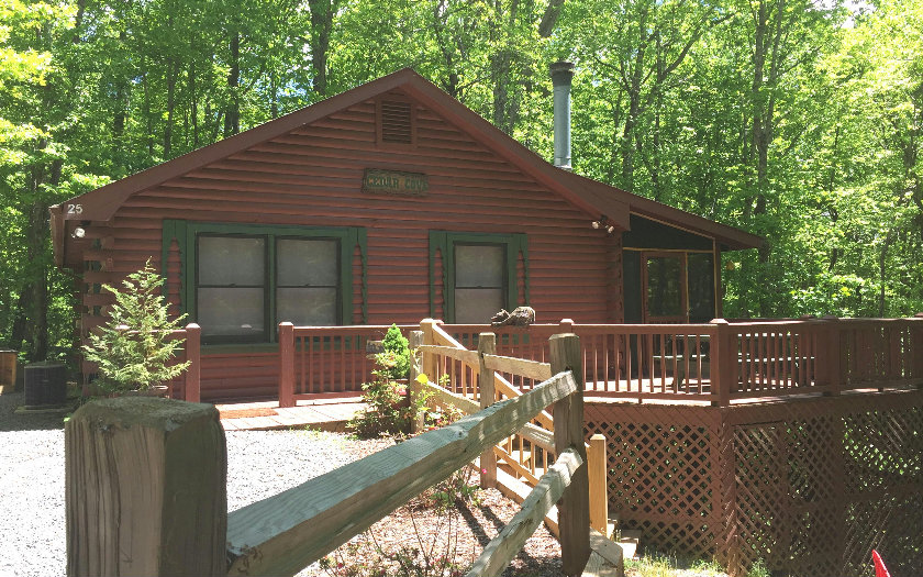 25 Flying Arrow Court Blue Ridge, GA 30513 - Photo 1 of 1 Main View