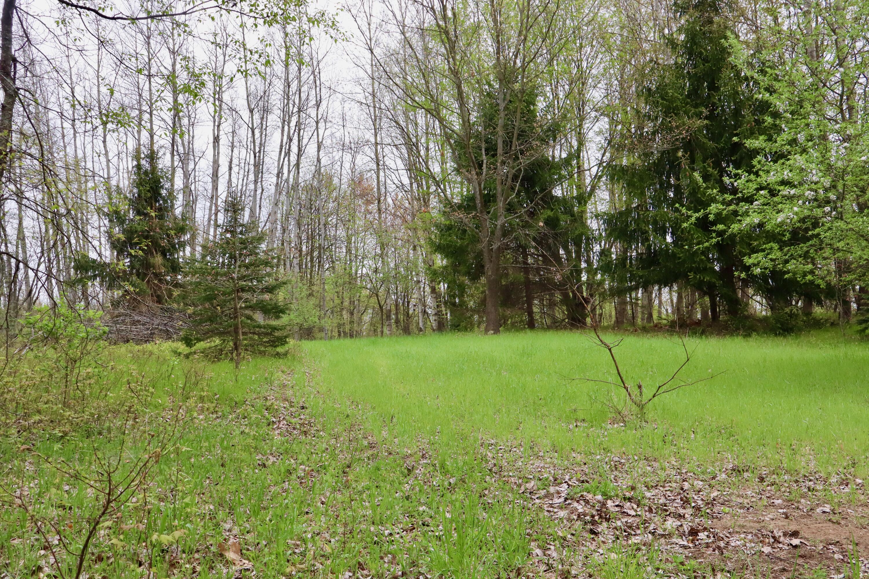 13635 Arthur Road Rodney, MI 49342 - Photo 14 of 54 009