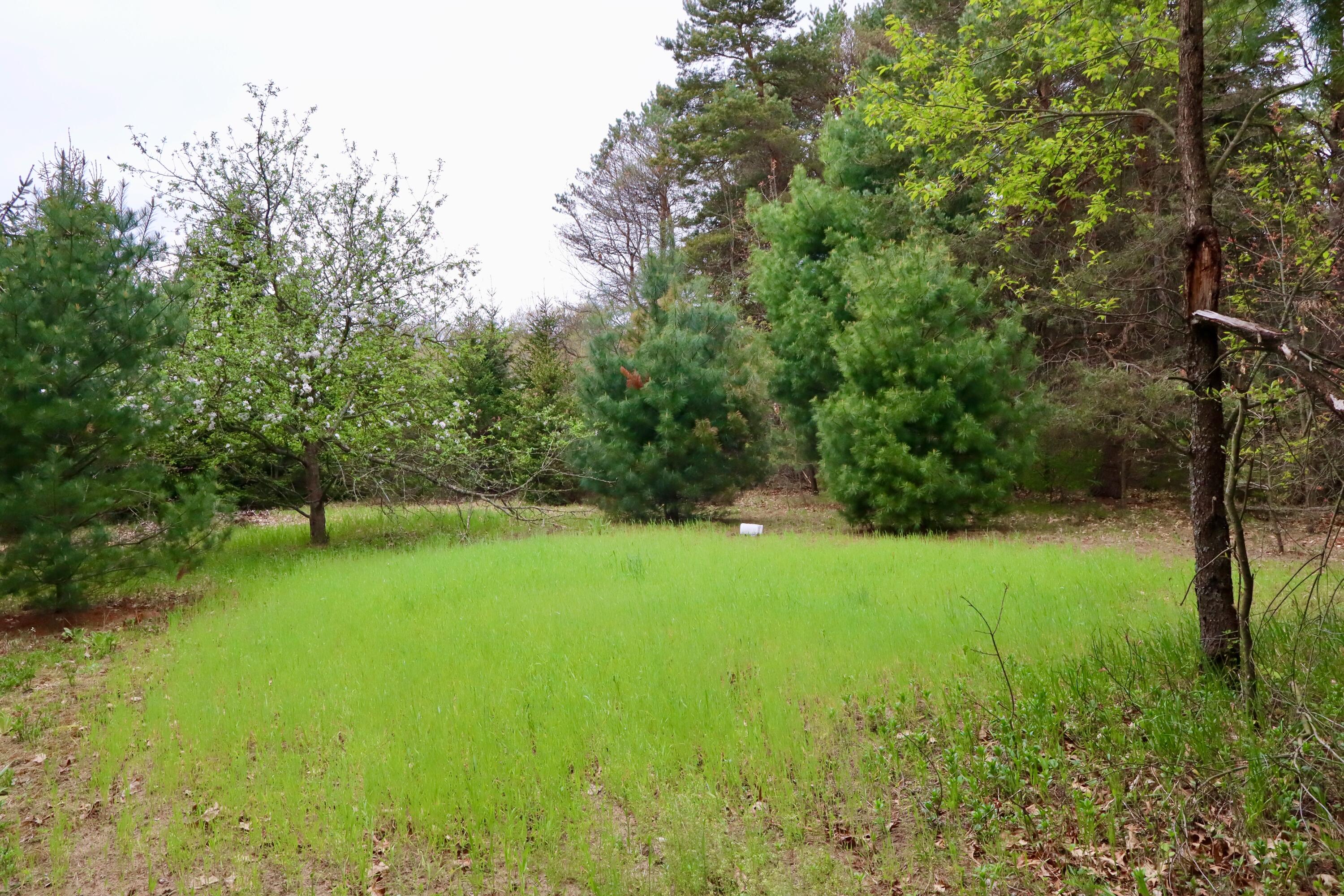 13635 Arthur Road Rodney, MI 49342 - Photo 17 of 54 012