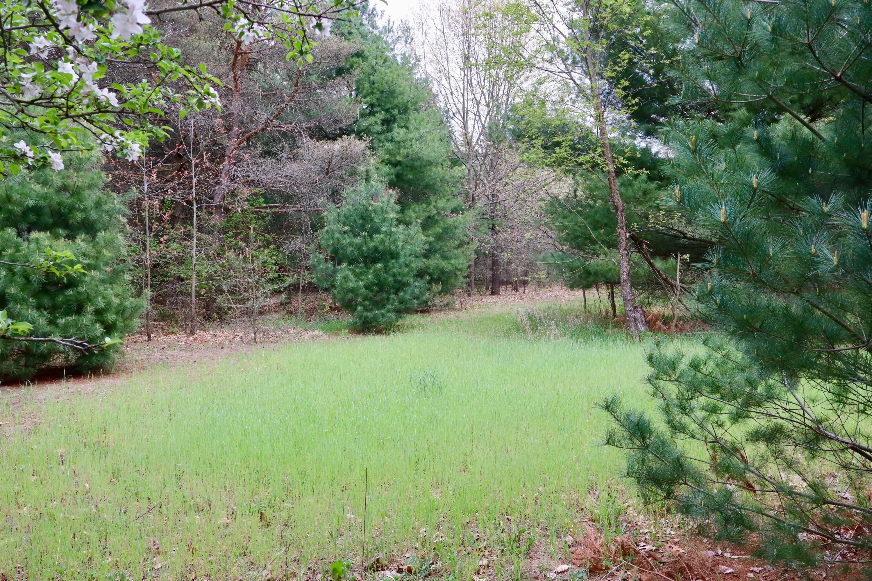 13635 Arthur Road Rodney, MI 49342 - Photo 31 of 54 030