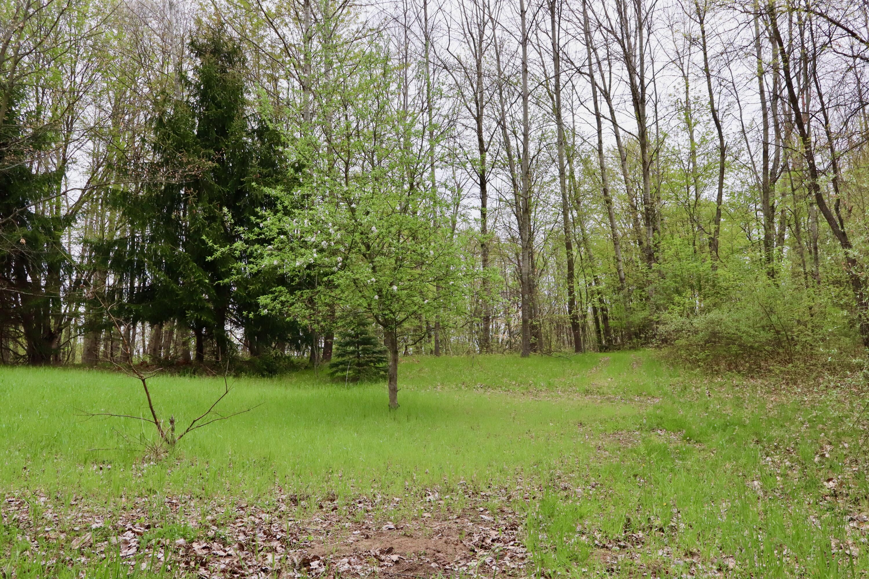 13635 Arthur Road Rodney, MI 49342 - Photo 32 of 54 031