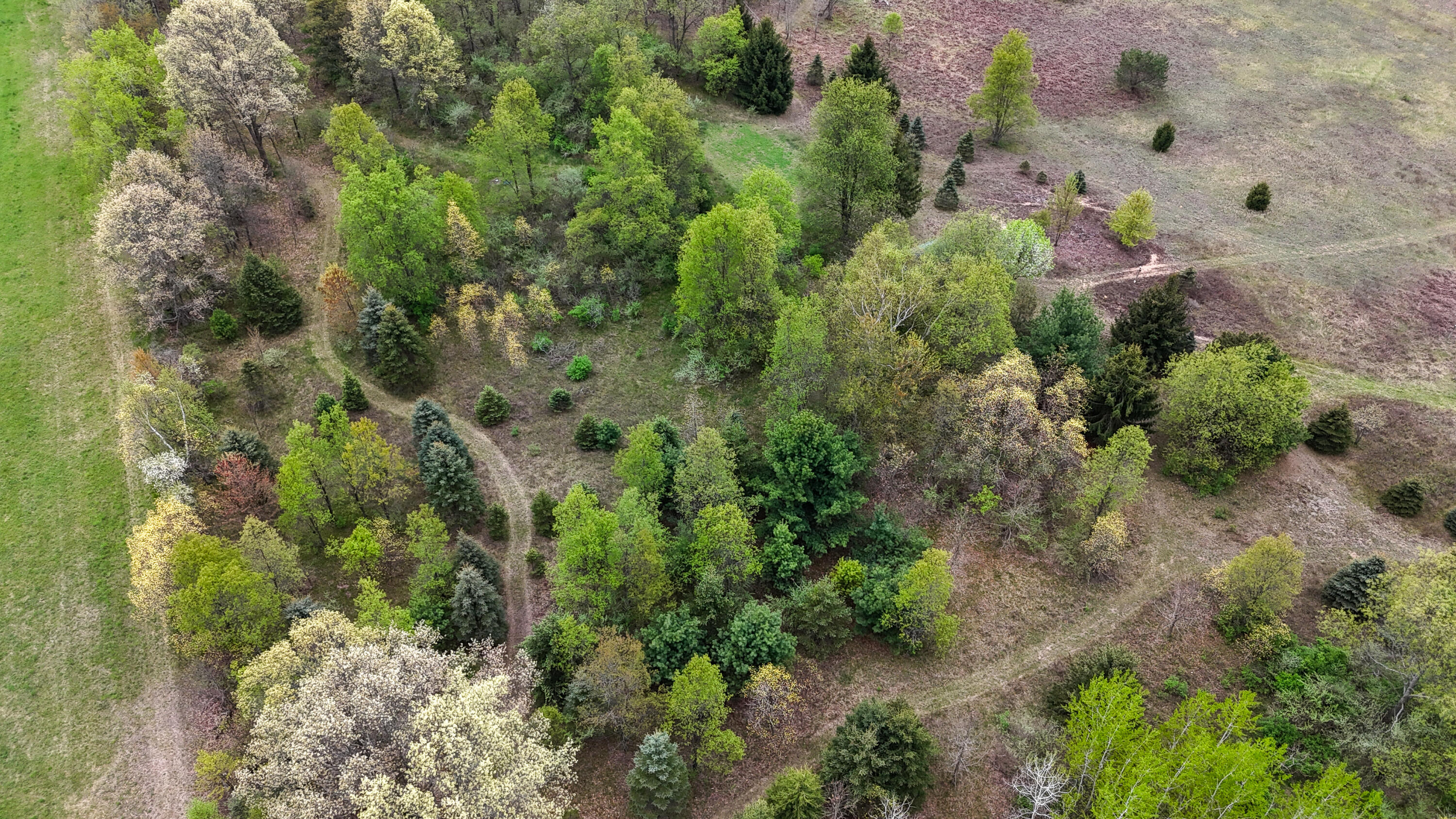 13635 Arthur Road Rodney, MI 49342 - Photo 34 of 54 DJI_20250513094634_0120_D-2