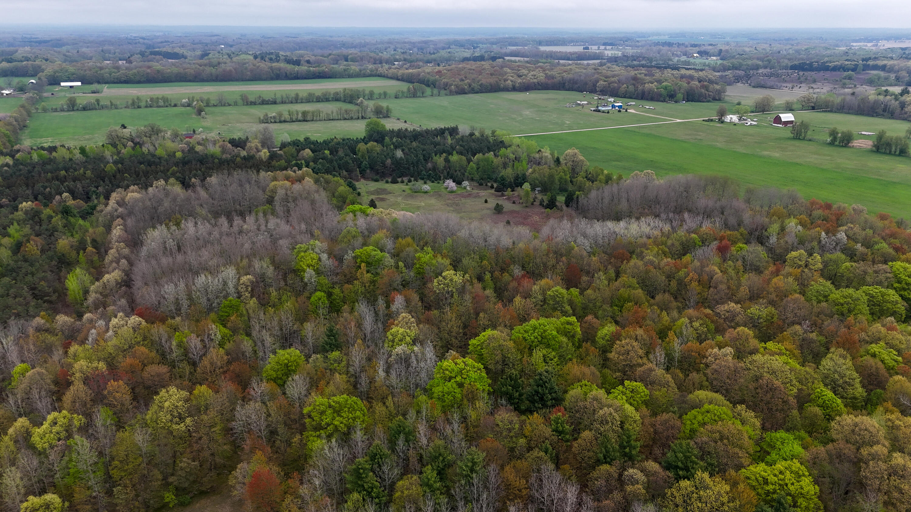 13635 Arthur Road Rodney, MI 49342 - Photo 36 of 54 DJI_20250513095053_0125_D-2