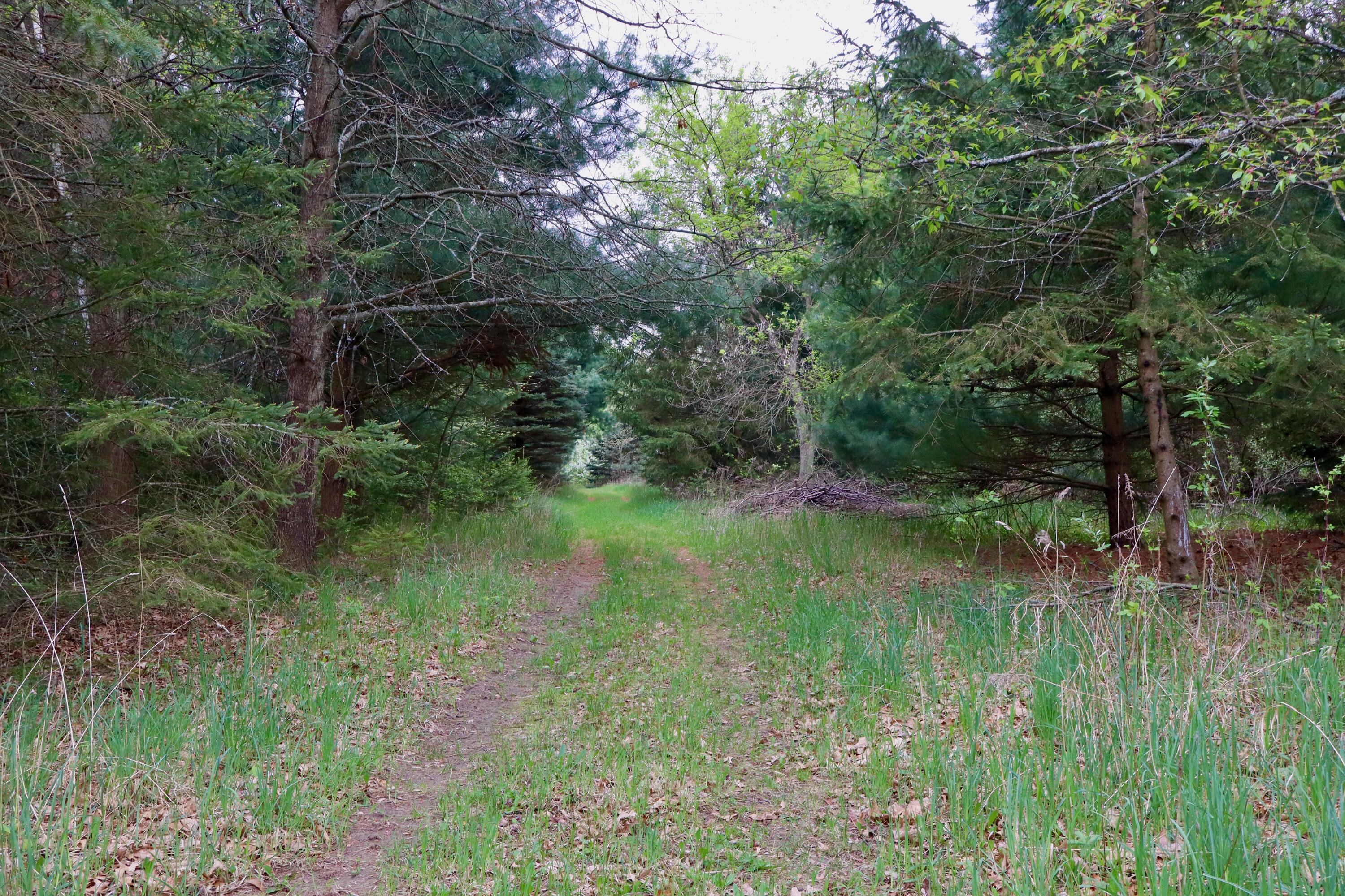 13635 Arthur Road Rodney, MI 49342 - Photo 37 of 54 IMG_0722