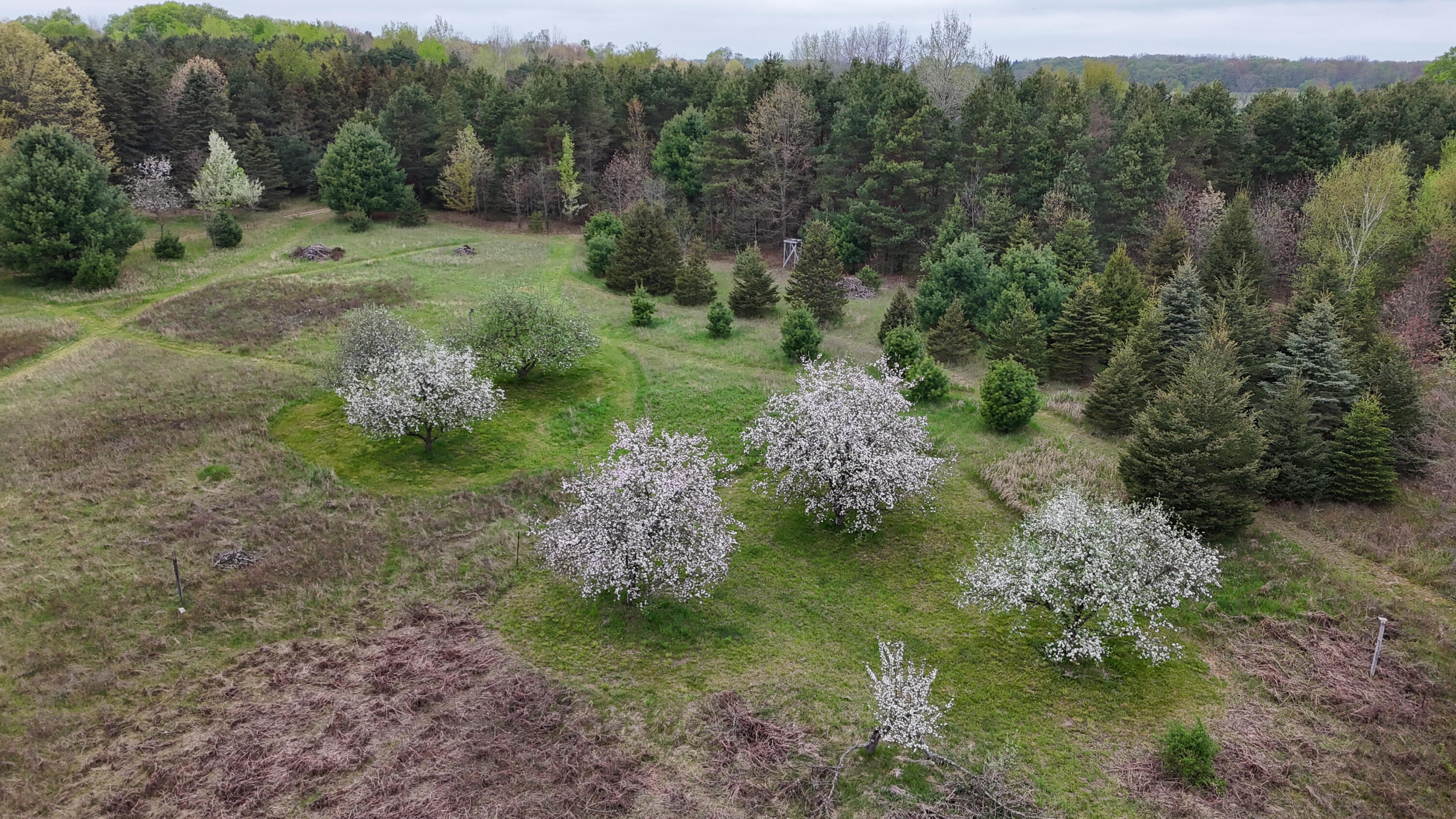 13635 Arthur Road Rodney, MI 49342 - Photo 4 of 54 004