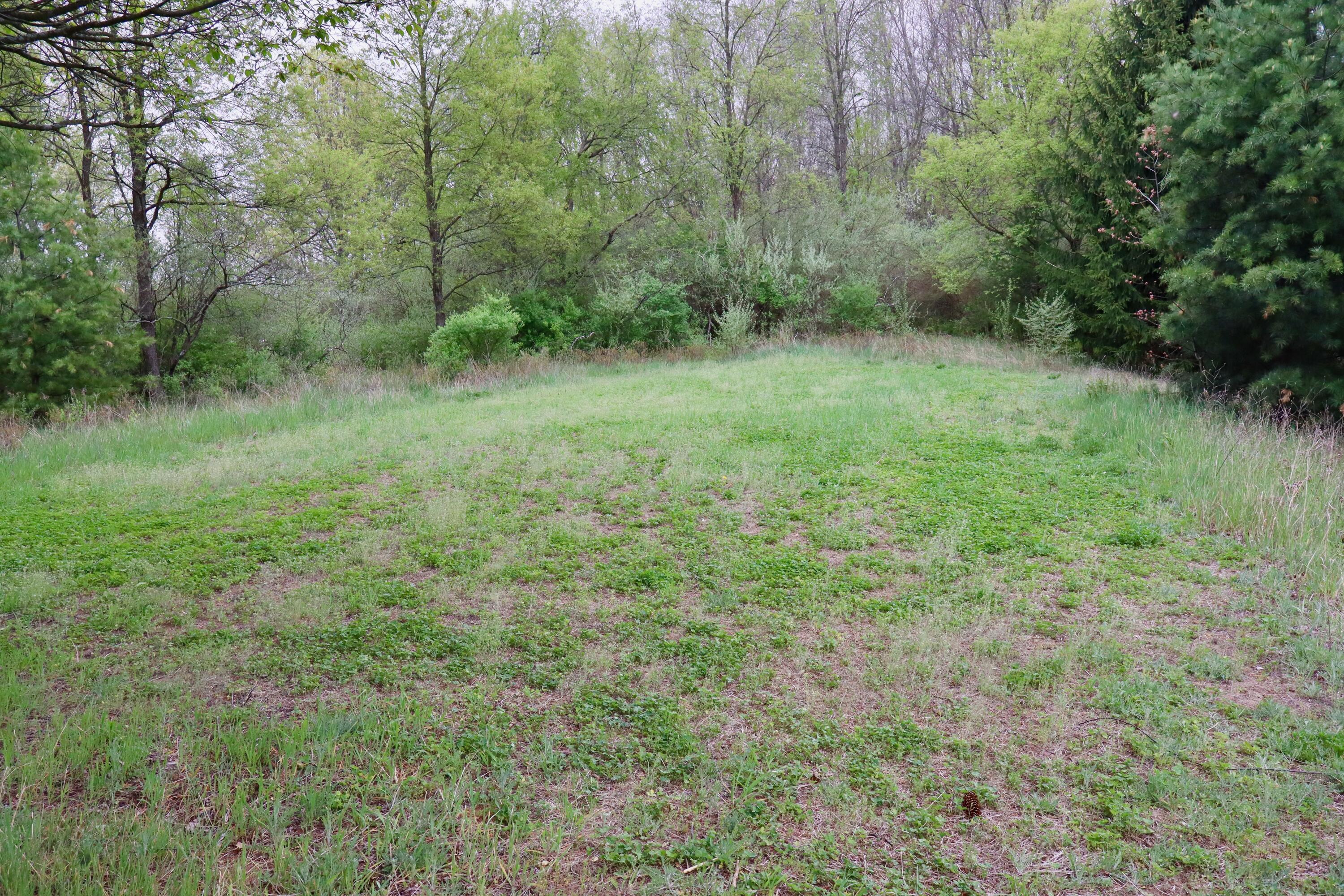 13635 Arthur Road Rodney, MI 49342 - Photo 50 of 54 IMG_0762