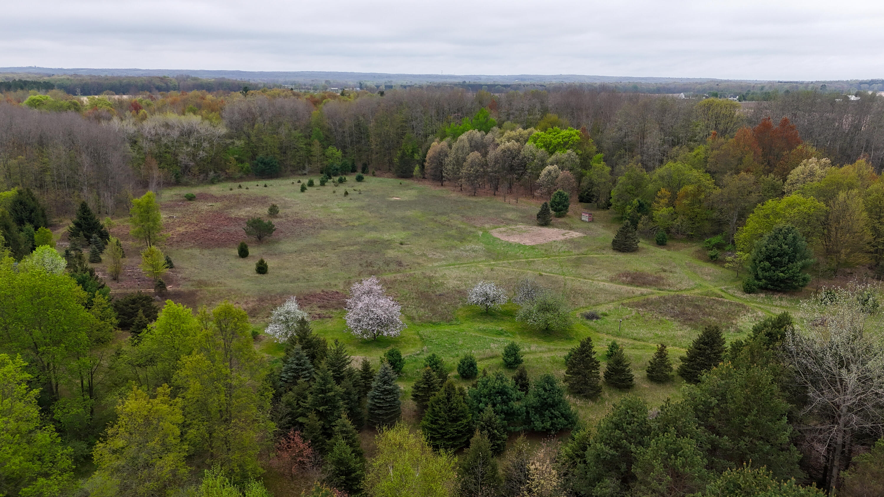 13635 Arthur Road Rodney, MI 49342 - Photo 5 of 54 005