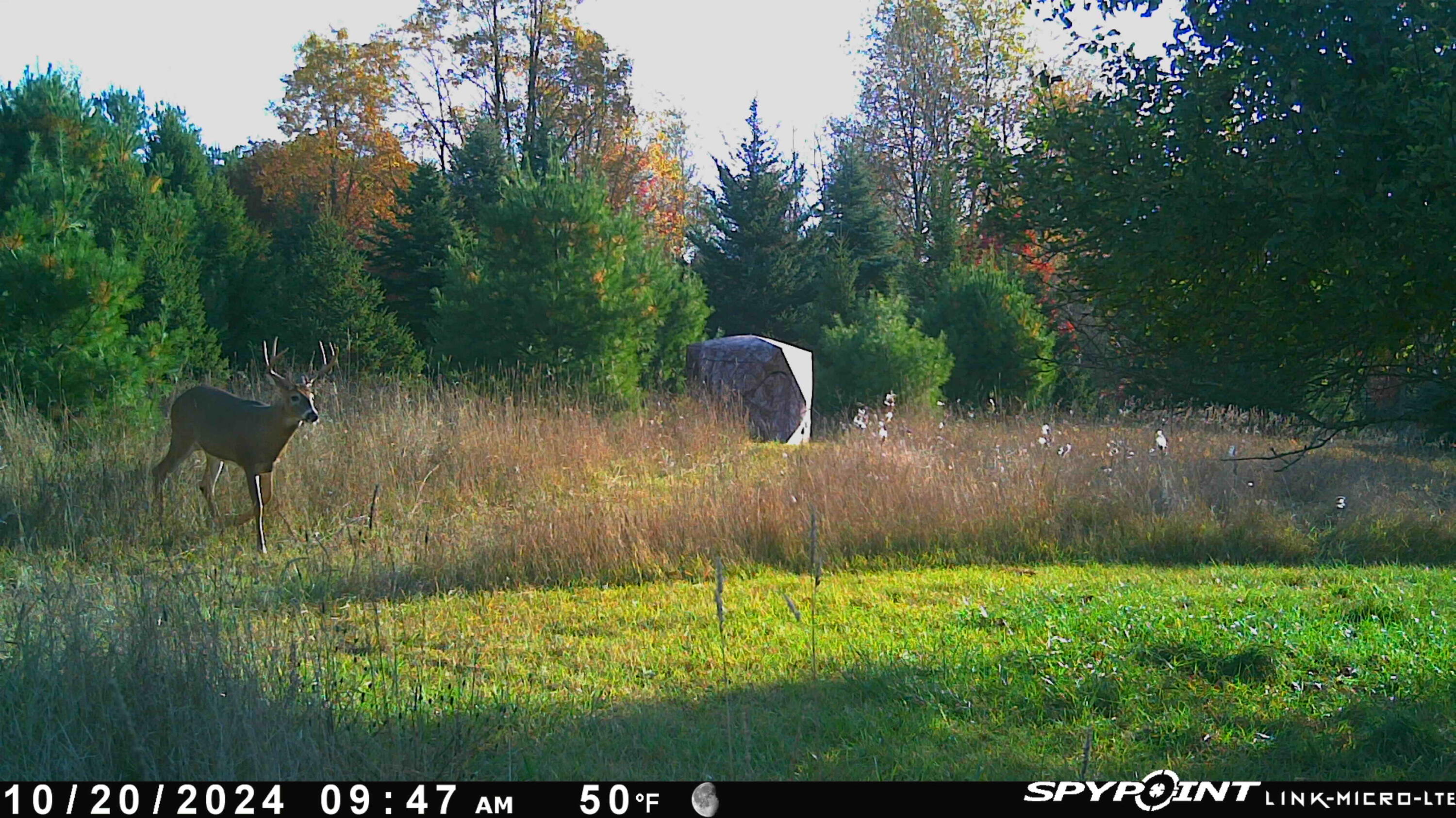 13635 Arthur Road Rodney, MI 49342 - Photo 10 of 54 006d
