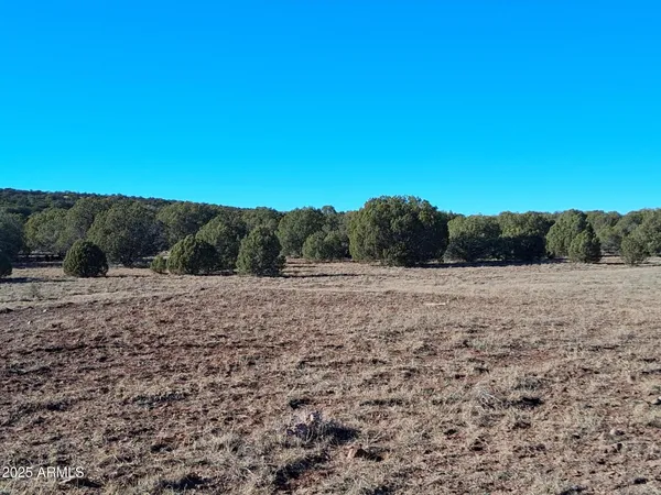 a view of a dry yard with mountains in the background