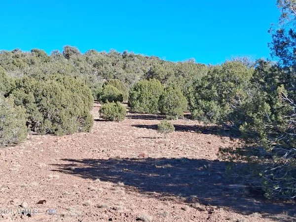 a view of a white house with a yard and mountain view