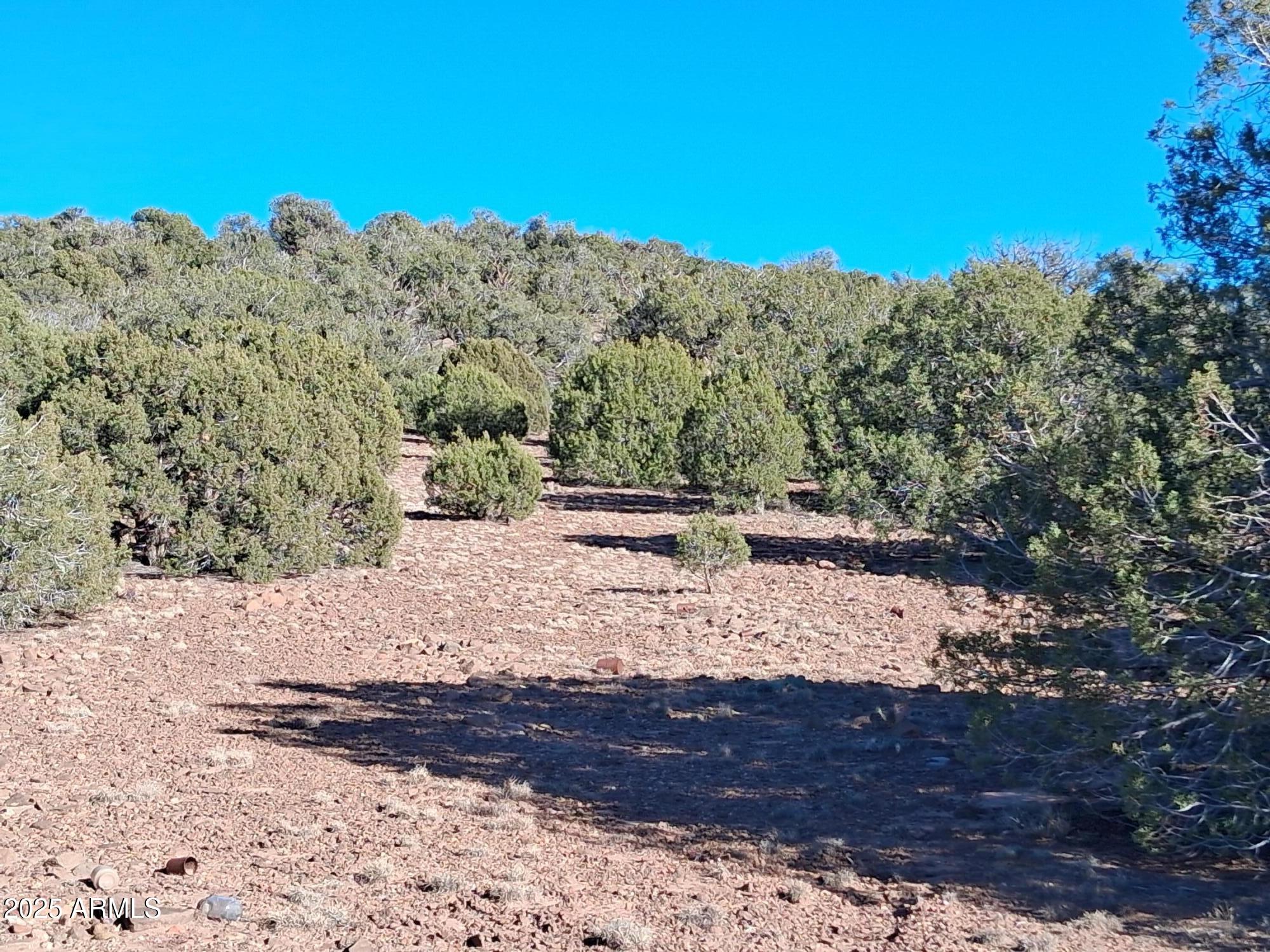5 County Road Concho, AZ 85924 - Photo 15 of 21 a view of a yard with mountain view