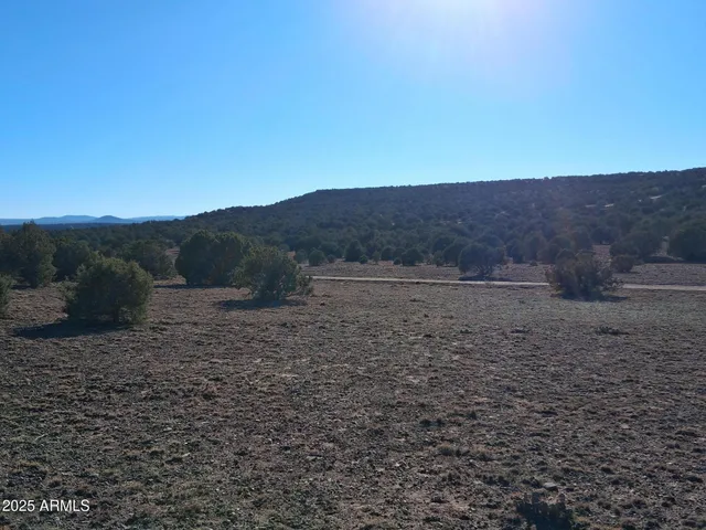 $16,996 | 5 County Road, Snowflake, AZ 85937