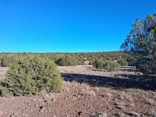 $16,996 | 5 County Road, Concho, AZ 85924