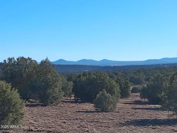 a view of road and trees