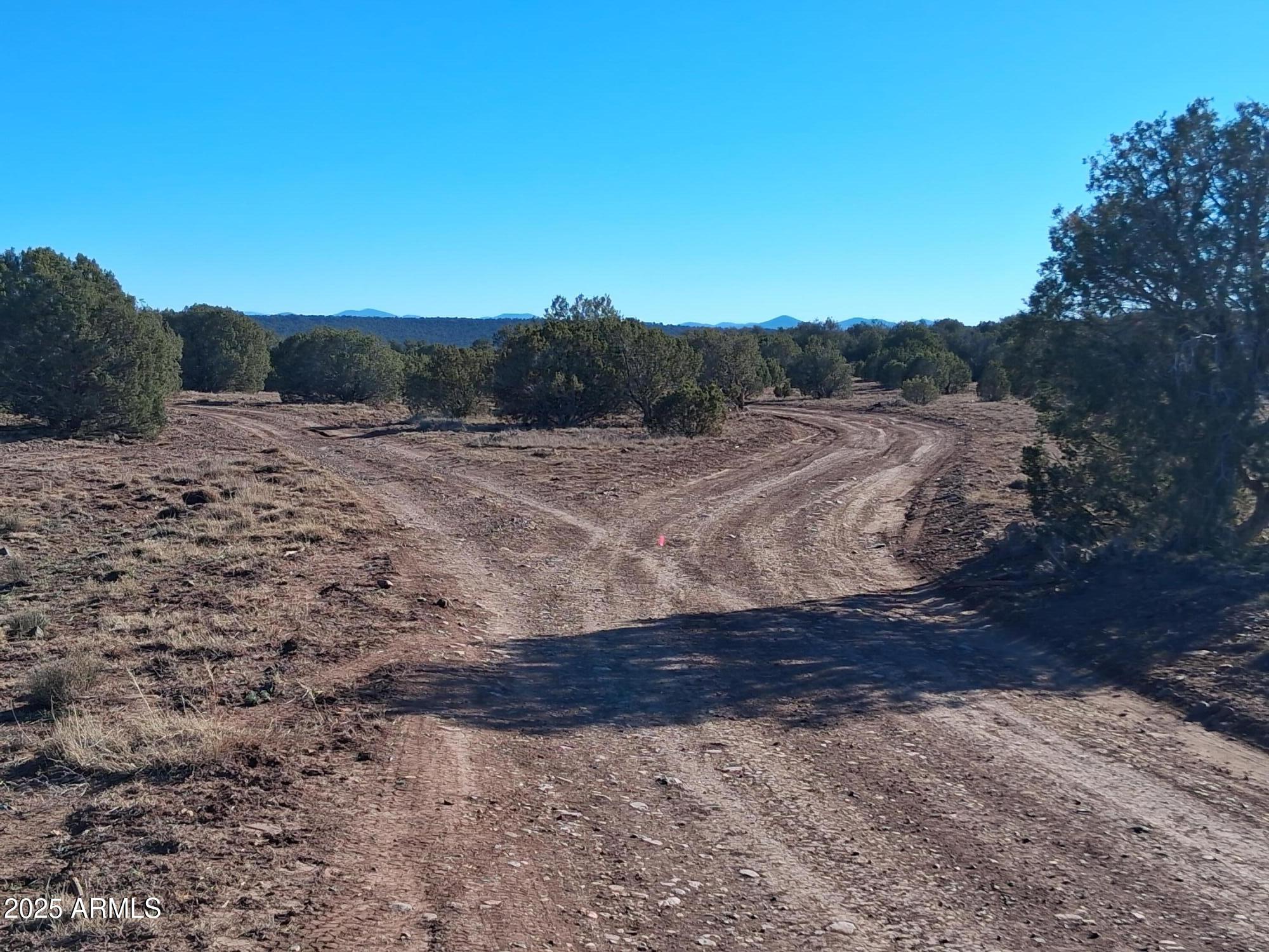 5 County Road Concho, AZ 85924 - Photo 7 of 21 a view of a yard