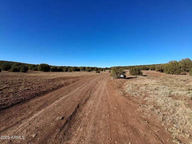 $16,996 | 5 County Road, Snowflake, AZ 85937