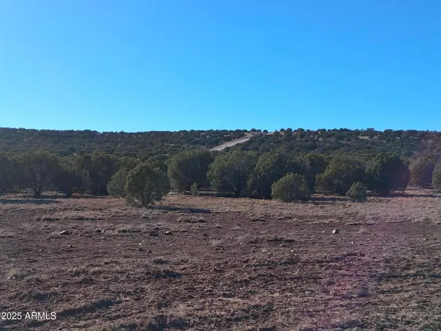 $16,996 | 5 County Road, Snowflake, AZ 85937