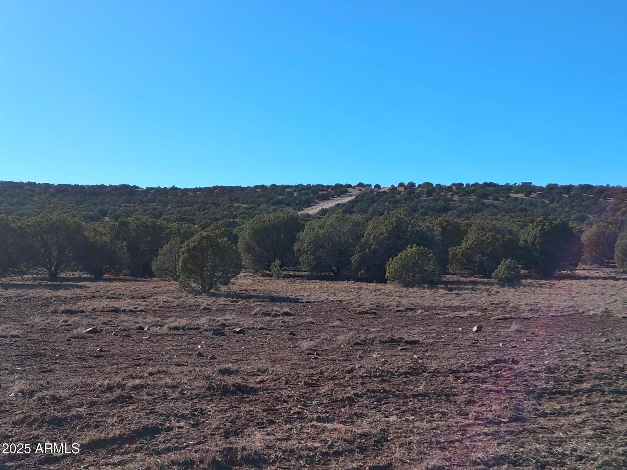 5 County Road Concho, AZ 85924 - Photo 10 of 21 a view of a dry view with mountain view