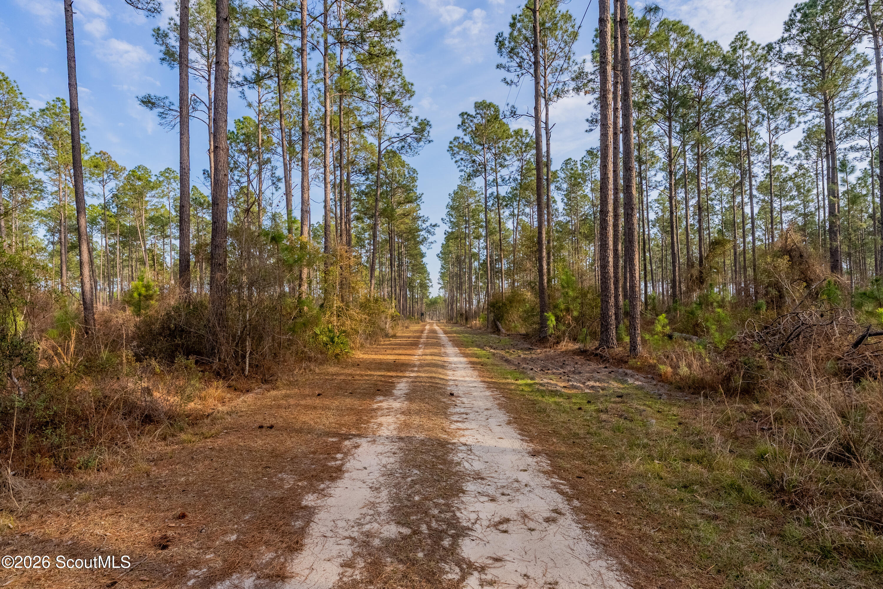0 Reddish Road Odum, GA 31555 - Photo 43 of 46 230-AC-REDDISH-ODUM-42