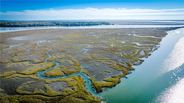 $119,900 | 1043 Fishermans Lodge Rd N East, Townsend, GA 31331