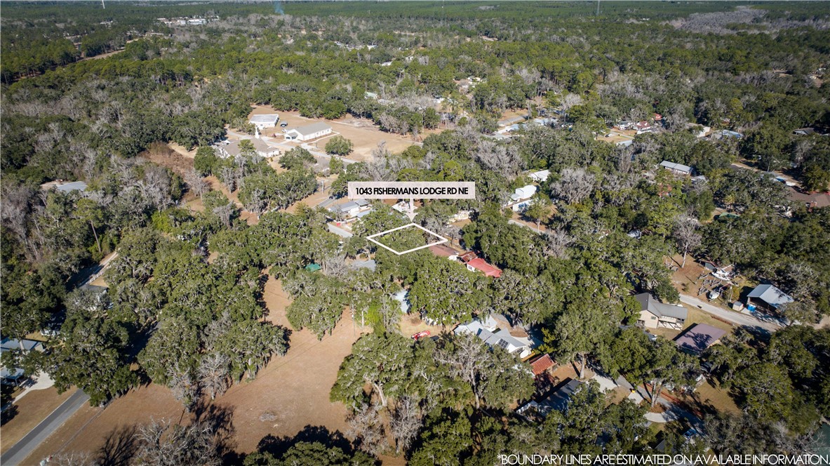 1043 Fishermans Lodge Rd N East Townsend, GA 31331 - Photo 13 of 14