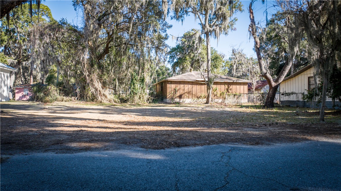 1043 Fishermans Lodge Rd N East Townsend, GA 31331 - Photo 6 of 14