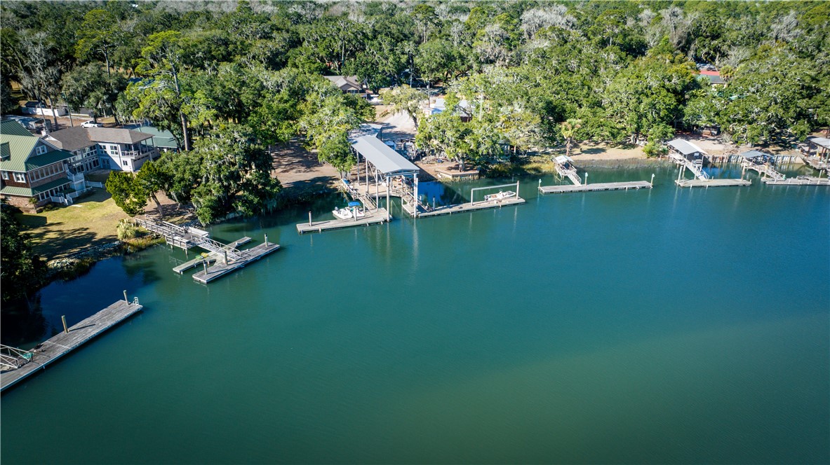 1043 Fishermans Lodge Rd N East Townsend, GA 31331 - Photo 9 of 14