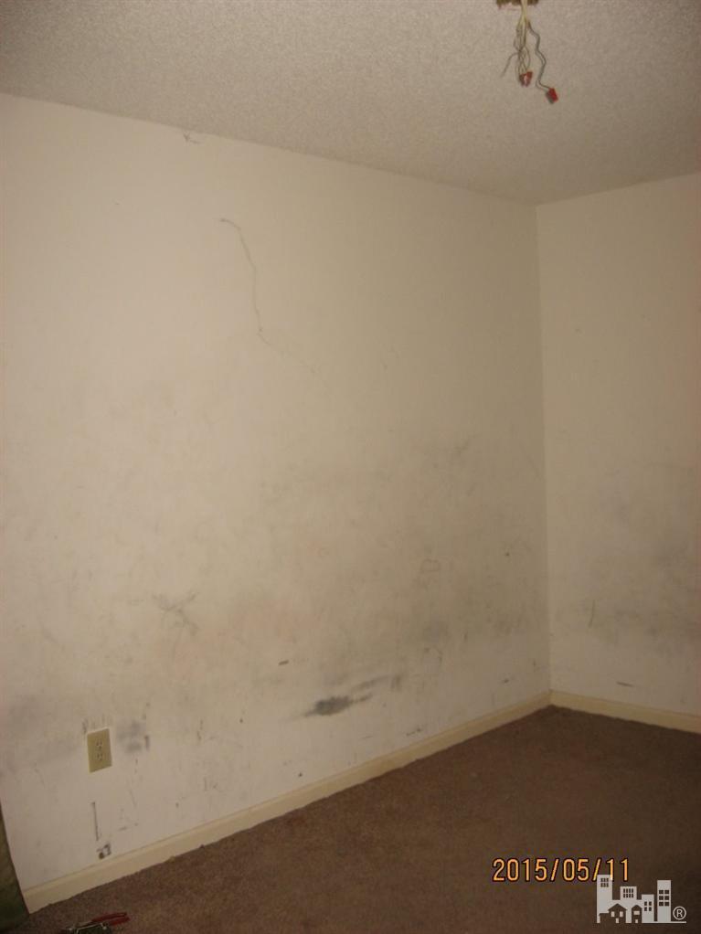 703 Buckhorn Road Willard, NC 28478 - Photo 6 of 9 Additional Photo