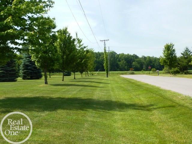 8857 Bordman Road Almont, MI 48003 - Photo 39 of 43 31294762-38.JPG
