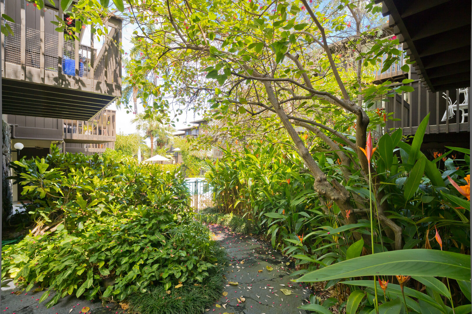 75-5855 Walua Road, Unit 12 Kailua-Kona, HI 96740 - Photo 29 of 30