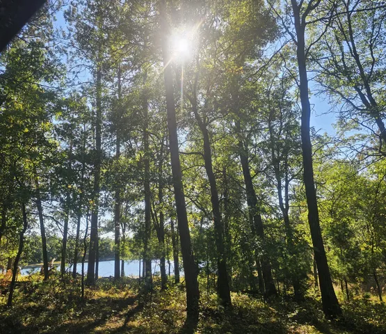 $340,000 | Xxx Xxx County Road, Danbury, WI 54830