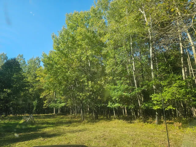 $340,000 | Xxx Xxx County Road, Danbury, WI 54830