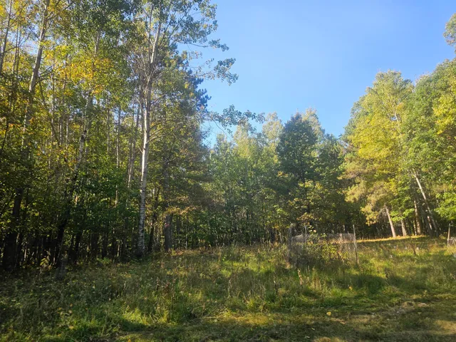 $340,000 | Xxx Xxx County Road, Danbury, WI 54830