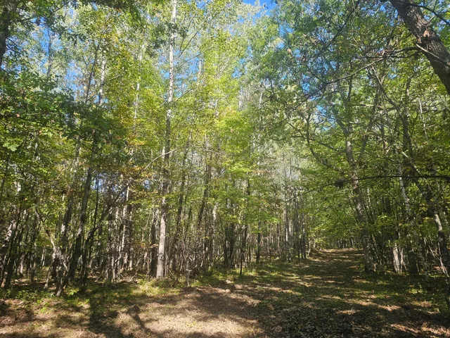 $340,000 | Xxx Xxx County Road, Danbury, WI 54830