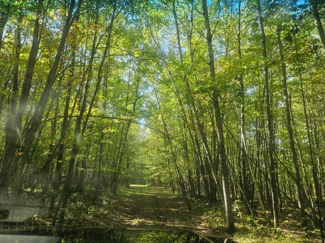 $340,000 | Xxx Xxx County Road, Danbury, WI 54830