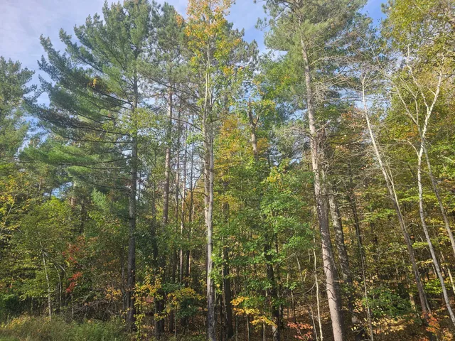 $340,000 | Xxx Xxx County Road, Danbury, WI 54830