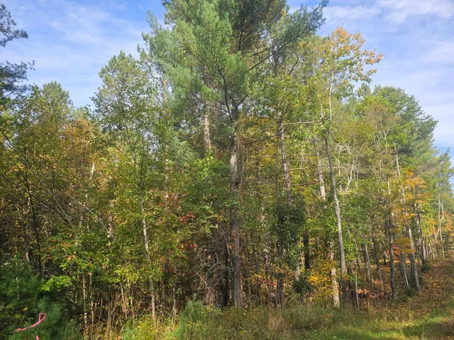 $340,000 | Xxx Xxx County Road, Danbury, WI 54830